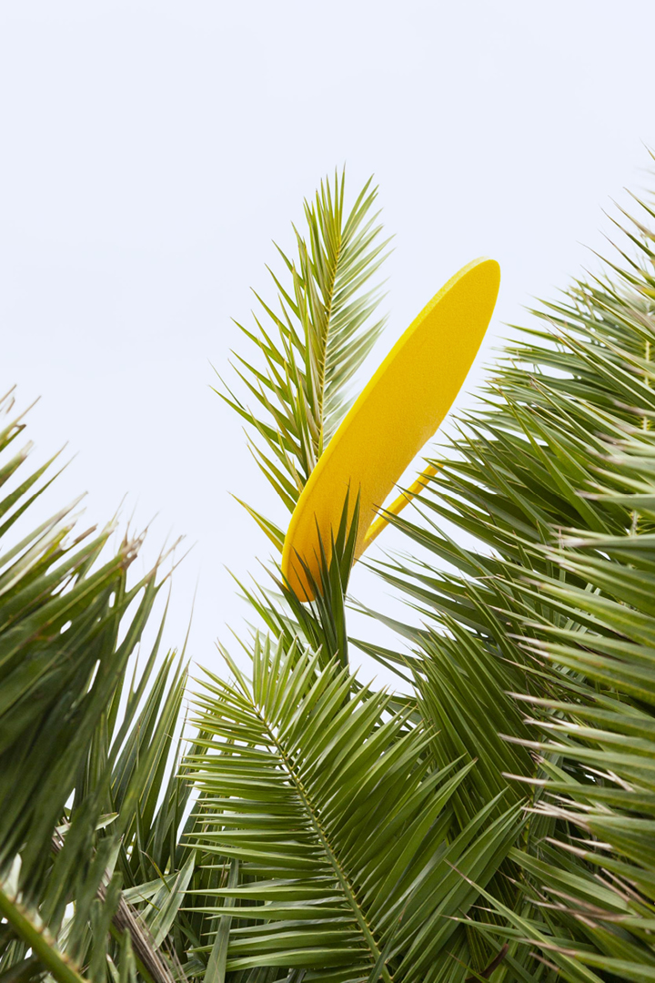 Palme mit gelben Sitzkissen
